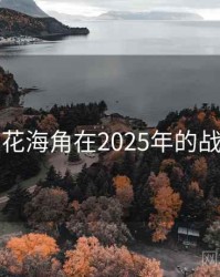 国产探花海角在2025年的战略定位