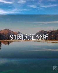 91网实证分析