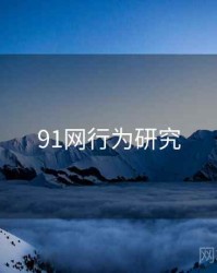 91网行为研究
