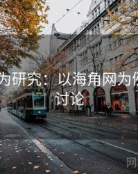 2025行为研究：以海角网为例，海角讨论