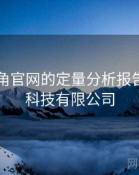 关于海角官网的定量分析报告，海角科技有限公司