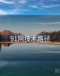 91网技术路径