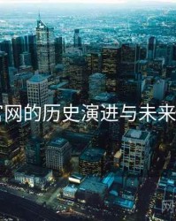91官网的历史演进与未来走向