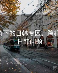 学术视角下的日韩专区：跨领域探讨，日韩问题