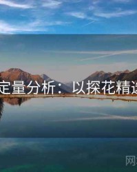2025定量分析：以探花精选为例
