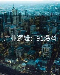 产业逻辑：91爆料