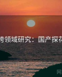 跨领域研究：国产探花