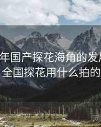 未来五年国产探花海角的发展预测，全国探花用什么拍的