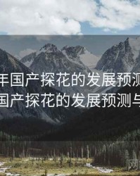 未来五年国产探花的发展预测，未来五年国产探花的发展预测与分析