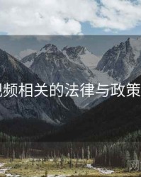 91视频相关的法律与政策探讨