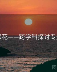 国产探花——跨学科探讨专题研究