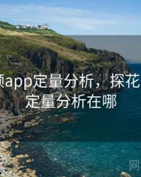 探花视频app定量分析，探花视频app定量分析在哪