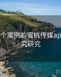 基于197个案例的蜜桃传媒app行为研究研究