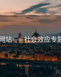 日韩网站——社会效应专题研究