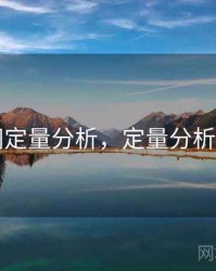 91网定量分析，定量分析软件