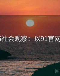 2025社会观察：以91官网为例