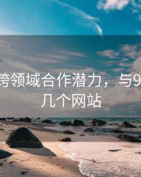 91网的跨领域合作潜力，与91齐名的几个网站