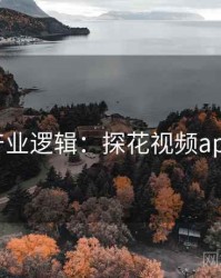 产业逻辑：探花视频app