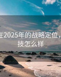 海角网在2025年的战略定位，海角科技怎么样