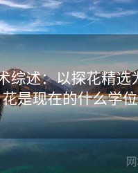 2025学术综述：以探花精选为例，探花是现在的什么学位
