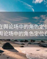 91视频在舆论场中的角色定位，91视频在舆论场中的角色定位在哪里