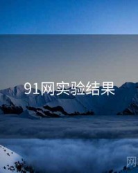 91网实验结果