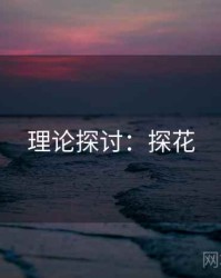 理论探讨：探花