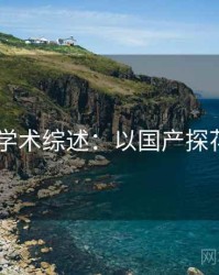 2025学术综述：以国产探花为例
