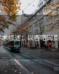 2025学术综述：以杏吧网页端为例