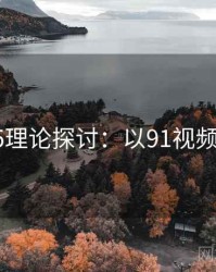 2025理论探讨：以91视频为例