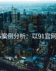 2025案例分析：以91官网为例