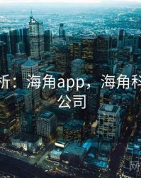 案例分析：海角app，海角科技有限公司