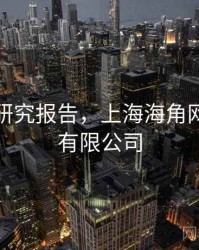 海角网研究报告，上海海角网络科技有限公司