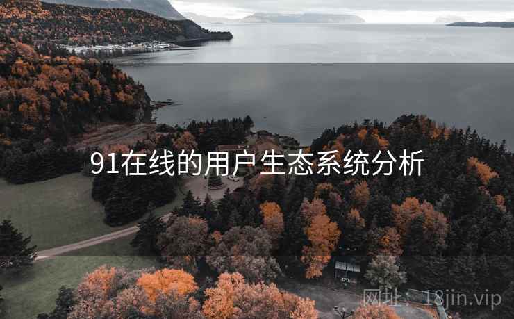 91在线的用户生态系统分析