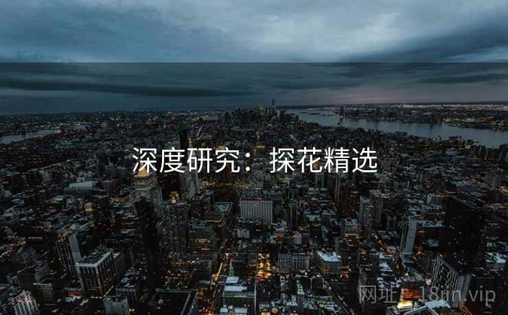 深度研究：探花精选