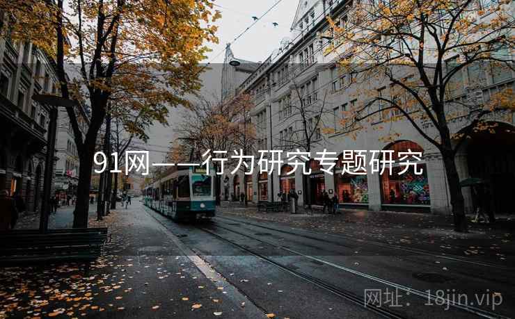 91网——行为研究专题研究