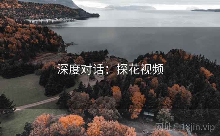 深度对话：探花视频