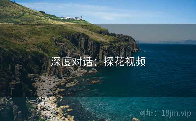 深度对话：探花视频