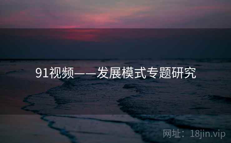 91视频——发展模式专题研究