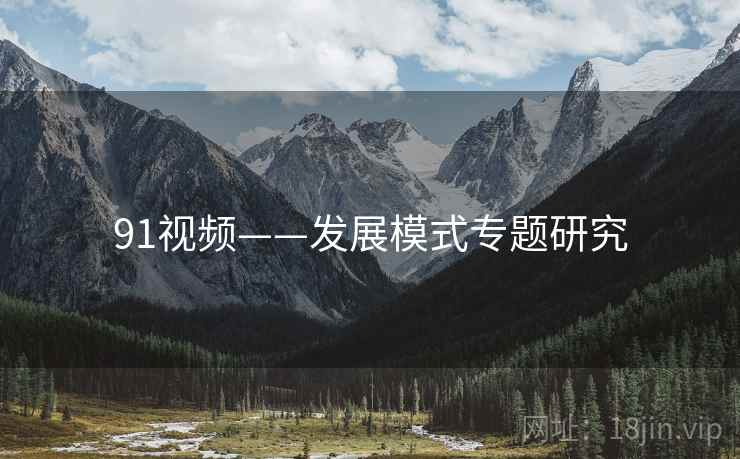 91视频——发展模式专题研究