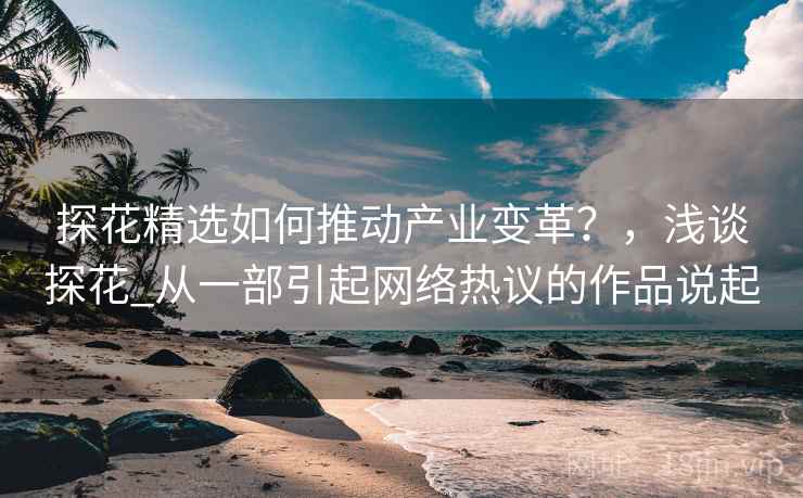 探花精选如何推动产业变革？，浅谈探花_从一部引起网络热议的作品说起
