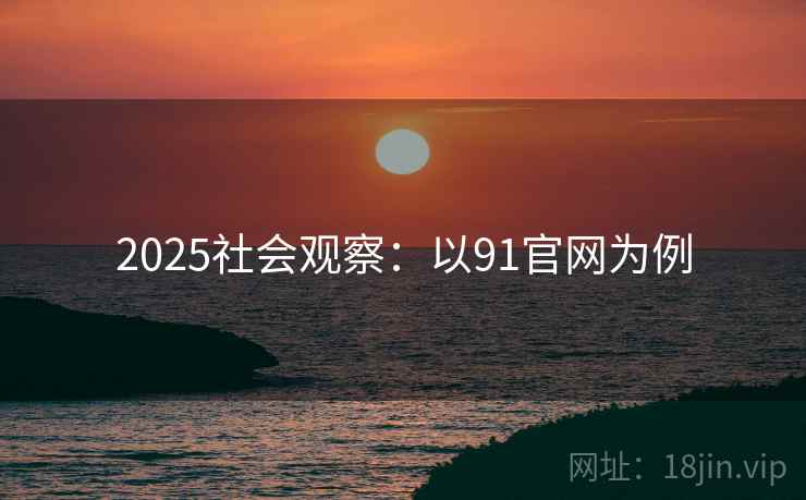 2025社会观察：以91官网为例