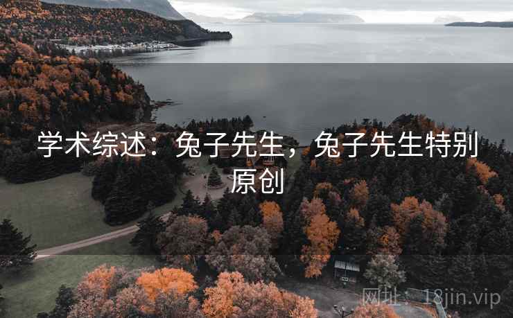 学术综述：兔子先生，兔子先生特别原创