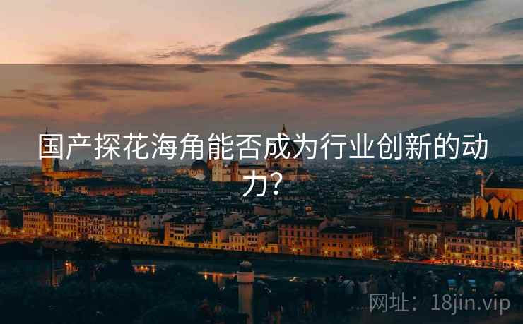 国产探花海角能否成为行业创新的动力？