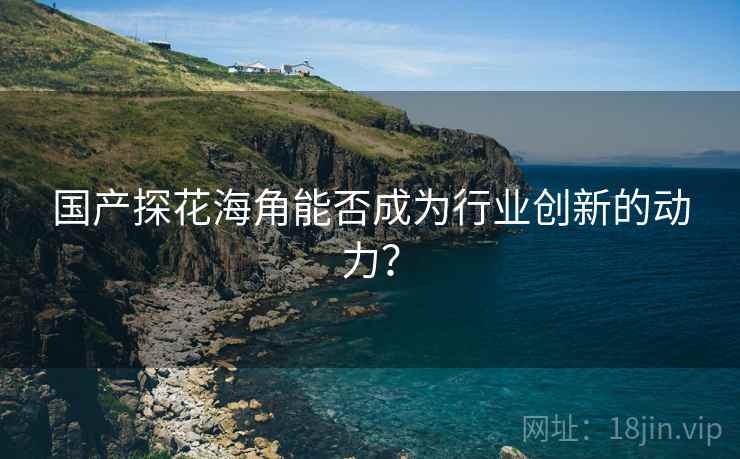 国产探花海角能否成为行业创新的动力？