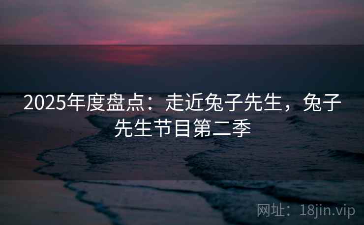 2025年度盘点：走近兔子先生，兔子先生节目第二季