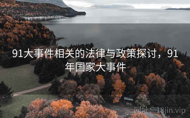 91大事件相关的法律与政策探讨，91年国家大事件