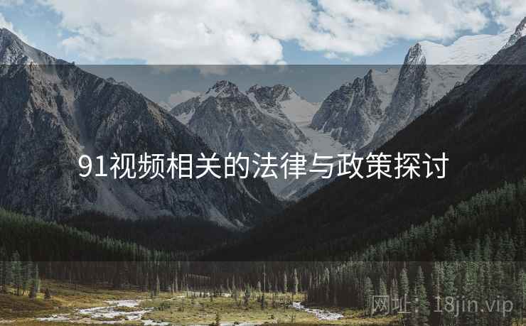 91视频相关的法律与政策探讨