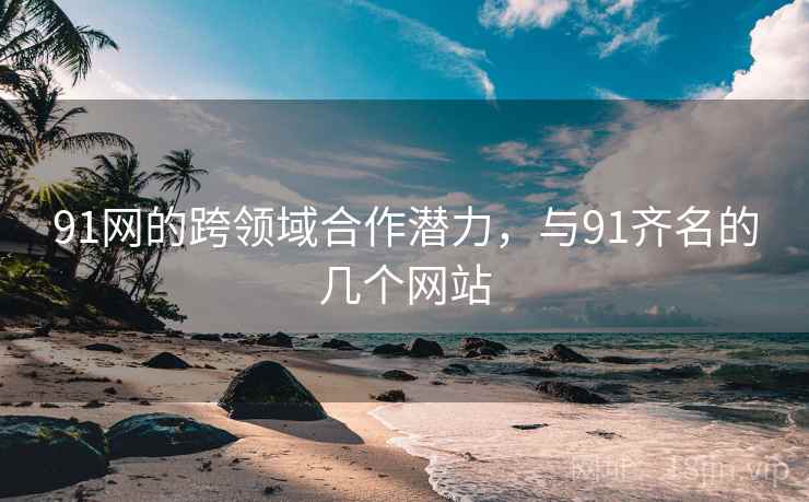 91网的跨领域合作潜力，与91齐名的几个网站