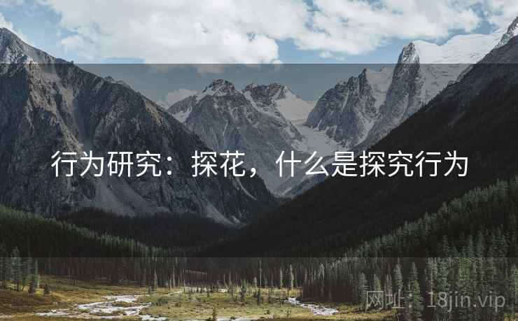 行为研究：探花，什么是探究行为